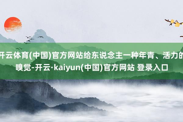 开云体育(中国)官方网站给东说念主一种年青、活力的嗅觉-开云·kaiyun(中国)官方网站 登录入口