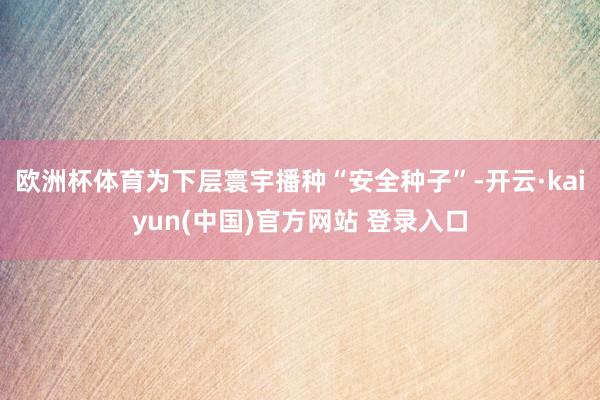 欧洲杯体育为下层寰宇播种“安全种子”-开云·kaiyun(中国)官方网站 登录入口