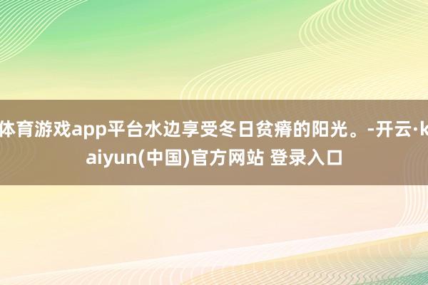 体育游戏app平台水边享受冬日贫瘠的阳光。-开云·kaiyun(中国)官方网站 登录入口