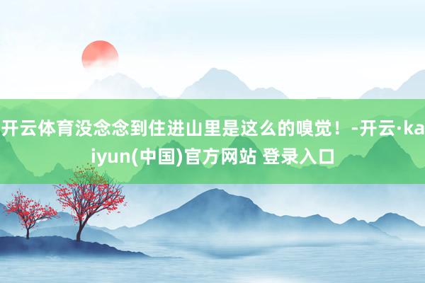 开云体育没念念到住进山里是这么的嗅觉！-开云·kaiyun(中国)官方网站 登录入口