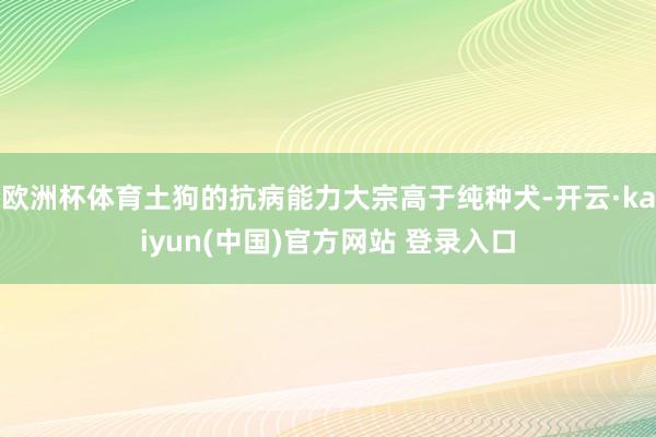 欧洲杯体育土狗的抗病能力大宗高于纯种犬-开云·kaiyun(中国)官方网站 登录入口