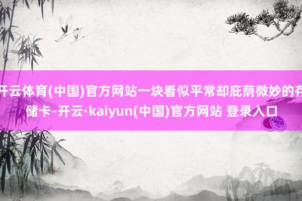 开云体育(中国)官方网站一块看似平常却庇荫微妙的存储卡-开云·kaiyun(中国)官方网站 登录入口