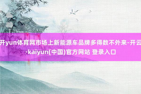 开yun体育网市场上新能源车品牌多得数不外来-开云·kaiyun(中国)官方网站 登录入口