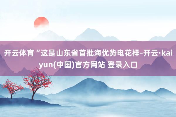 开云体育“这是山东省首批海优势电花样-开云·kaiyun(中国)官方网站 登录入口