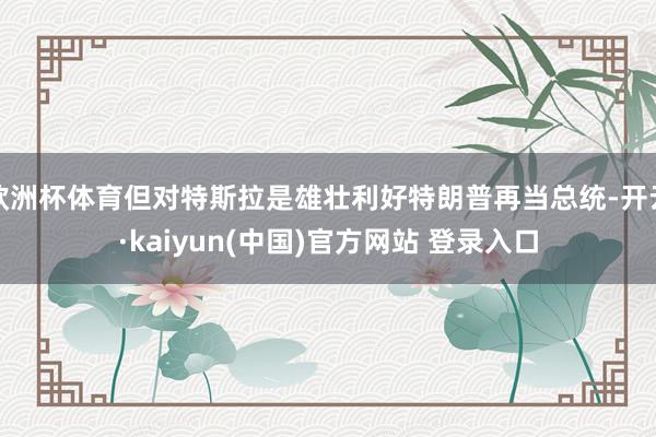 欧洲杯体育但对特斯拉是雄壮利好特朗普再当总统-开云·kaiyun(中国)官方网站 登录入口