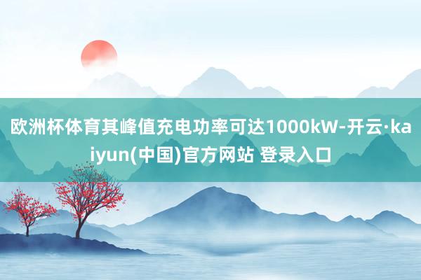 欧洲杯体育其峰值充电功率可达1000kW-开云·kaiyun(中国)官方网站 登录入口