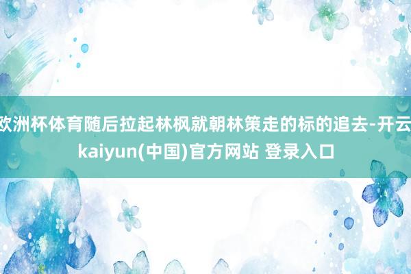 欧洲杯体育随后拉起林枫就朝林策走的标的追去-开云·kaiyun(中国)官方网站 登录入口
