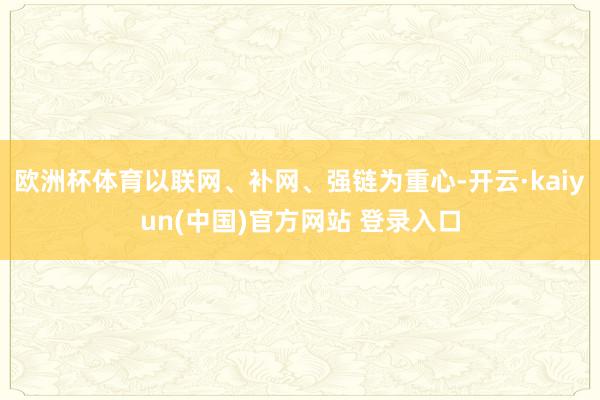 欧洲杯体育以联网、补网、强链为重心-开云·kaiyun(中国)官方网站 登录入口