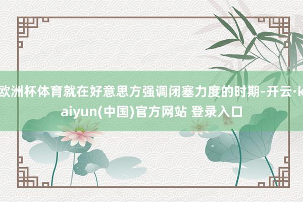 欧洲杯体育就在好意思方强调闭塞力度的时期-开云·kaiyun(中国)官方网站 登录入口