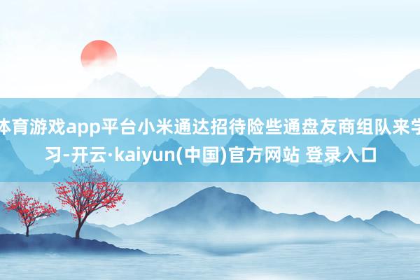 体育游戏app平台小米通达招待险些通盘友商组队来学习-开云·kaiyun(中国)官方网站 登录入口