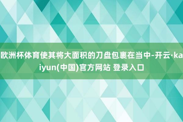 欧洲杯体育使其将大面积的刀盘包裹在当中-开云·kaiyun(中国)官方网站 登录入口