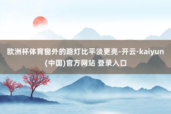 欧洲杯体育窗外的路灯比平淡更亮-开云·kaiyun(中国)官方网站 登录入口