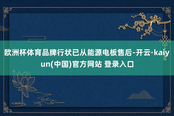欧洲杯体育品牌行状已从能源电板售后-开云·kaiyun(中国)官方网站 登录入口