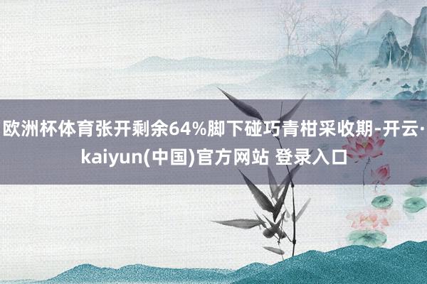 欧洲杯体育张开剩余64%脚下碰巧青柑采收期-开云·kaiyun(中国)官方网站 登录入口