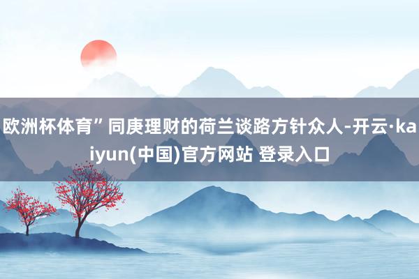 欧洲杯体育”同庚理财的荷兰谈路方针众人-开云·kaiyun(中国)官方网站 登录入口