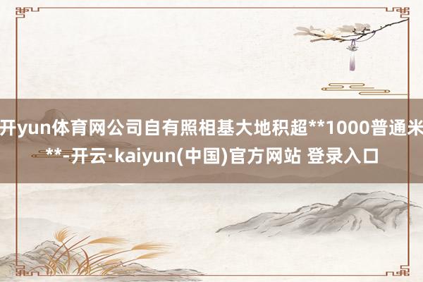 开yun体育网公司自有照相基大地积超**1000普通米**-开云·kaiyun(中国)官方网站 登录入口